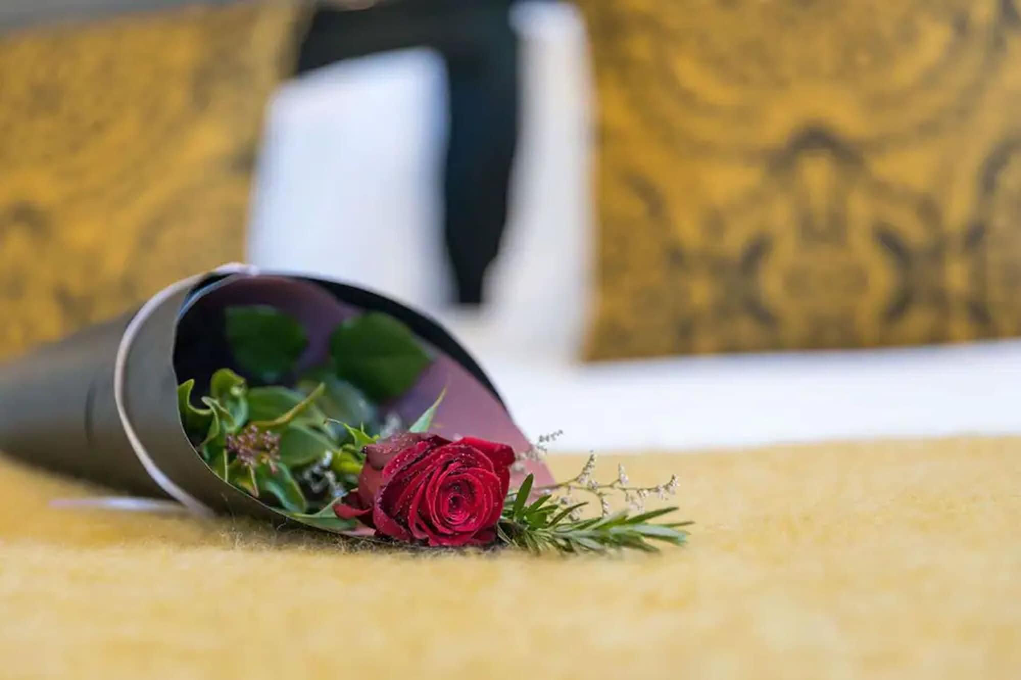 Palazzo Motor Lodge Nelson Exterior foto A rose in a vase